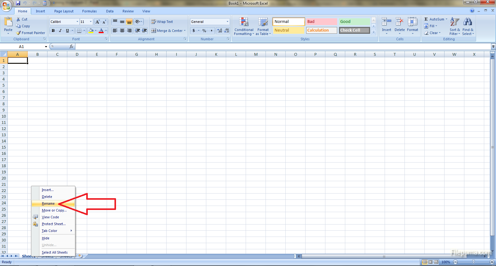 Renaming Worksheets 2