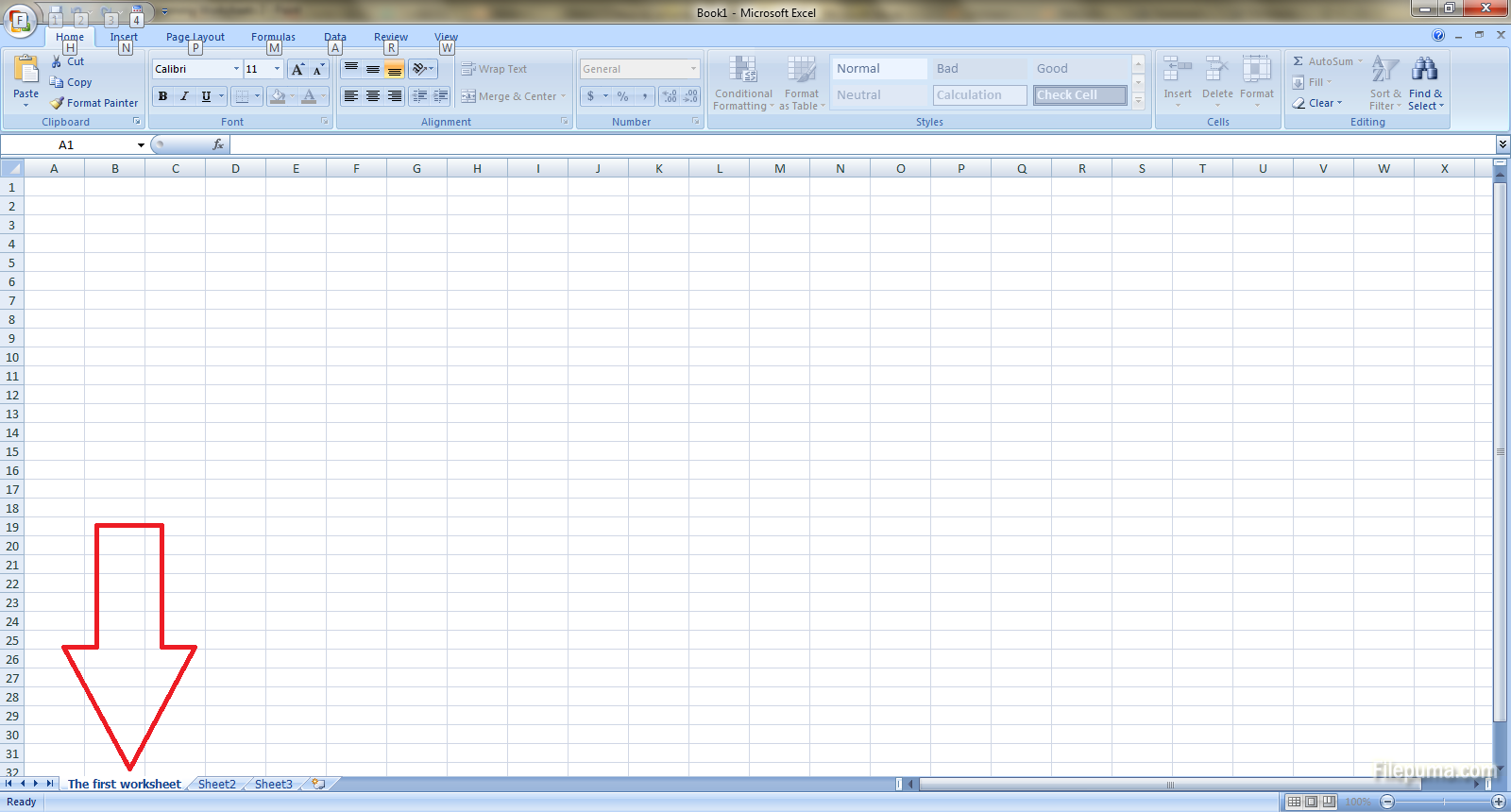 Renaming Worksheets 3
