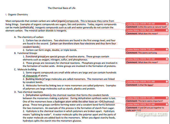 annotated_example_in_word